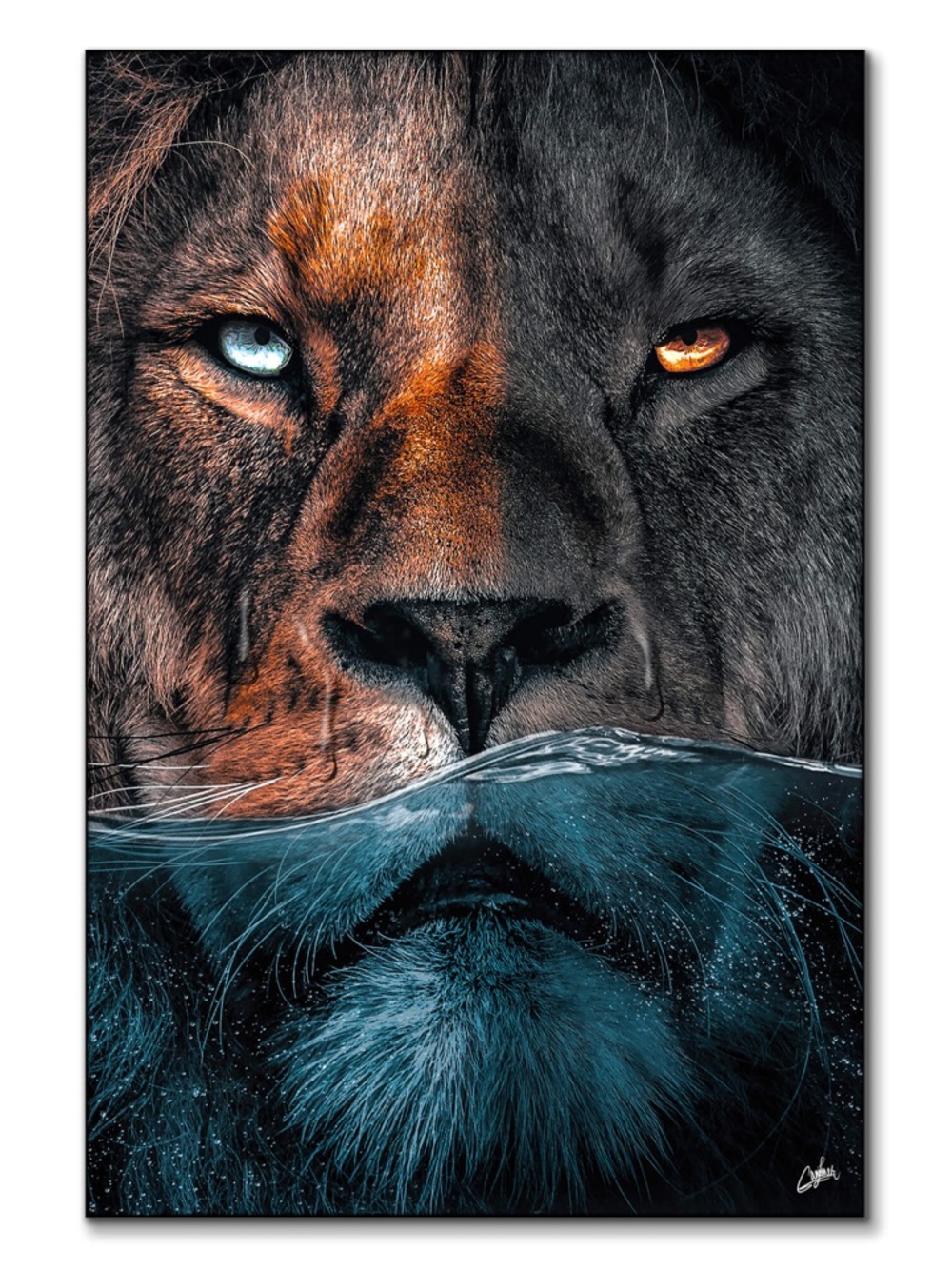 Wall art 

Underwater Lion
Animal Wall Art by Zenja Gammer